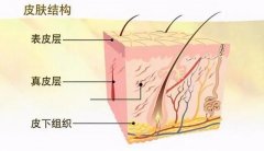 夏末秋初，免疫力低的人最易染上这6大皮肤病